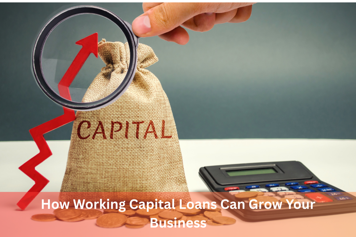 Working Capital Loans to Grow Your Business | RupeeBoss